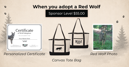 Red Wolf Archie (m2767)