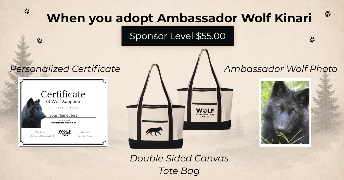 Ambassador Wolf Kinari