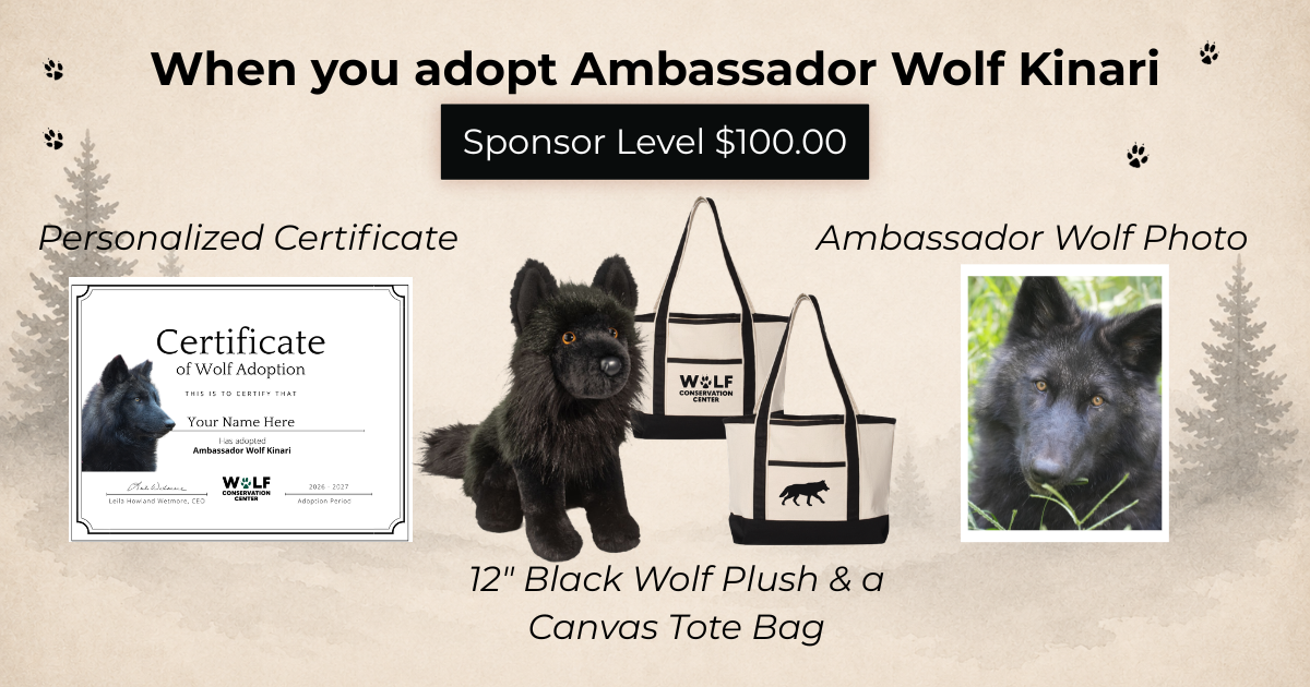 Ambassador Wolf Kinari