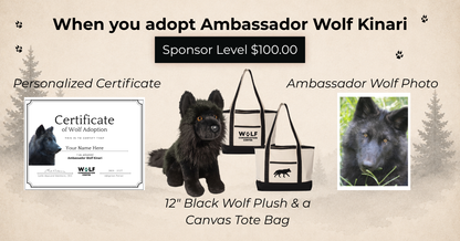 Ambassador Wolf Kinari