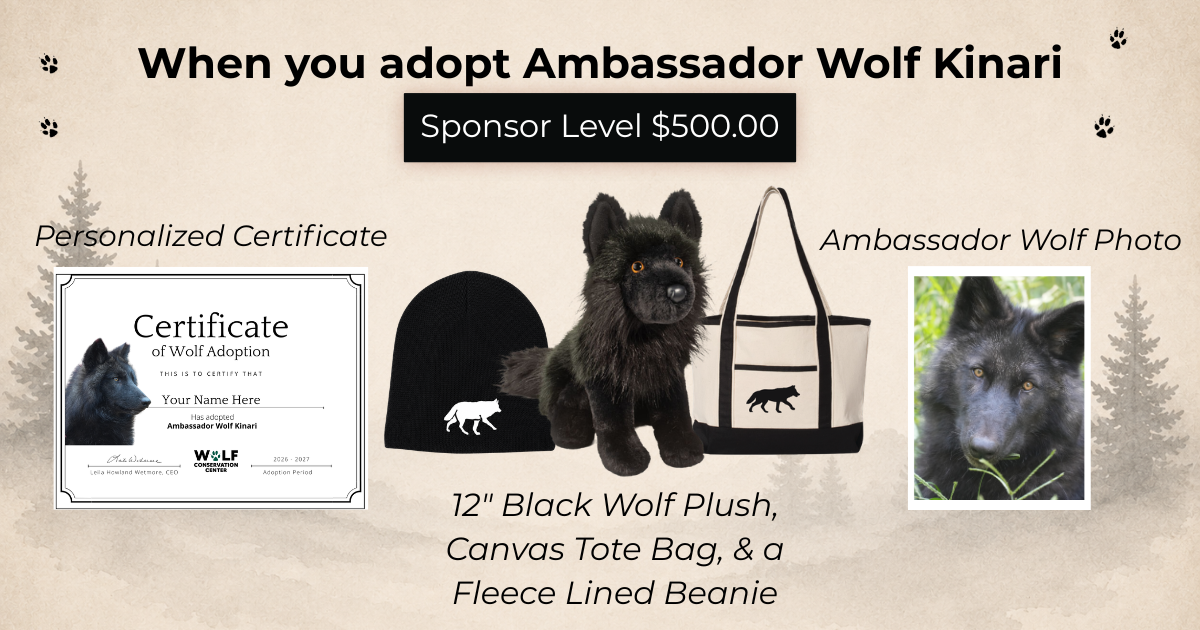 Ambassador Wolf Kinari