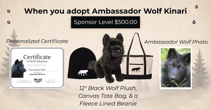 Ambassador Wolf Kinari