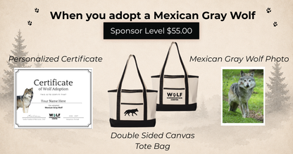 Mexican Gray Wolf Nita (F1621)