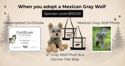Mexican Gray Wolf Nita (F1621)