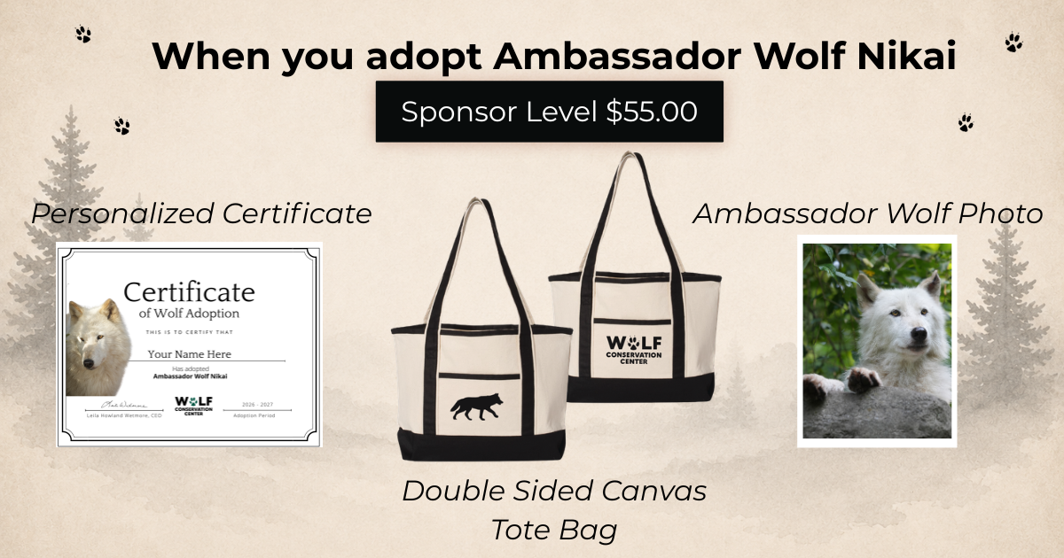 Ambassador Wolf Nikai