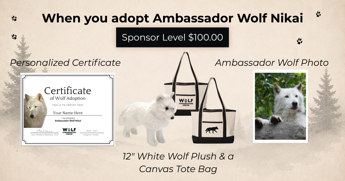 Ambassador Wolf Nikai