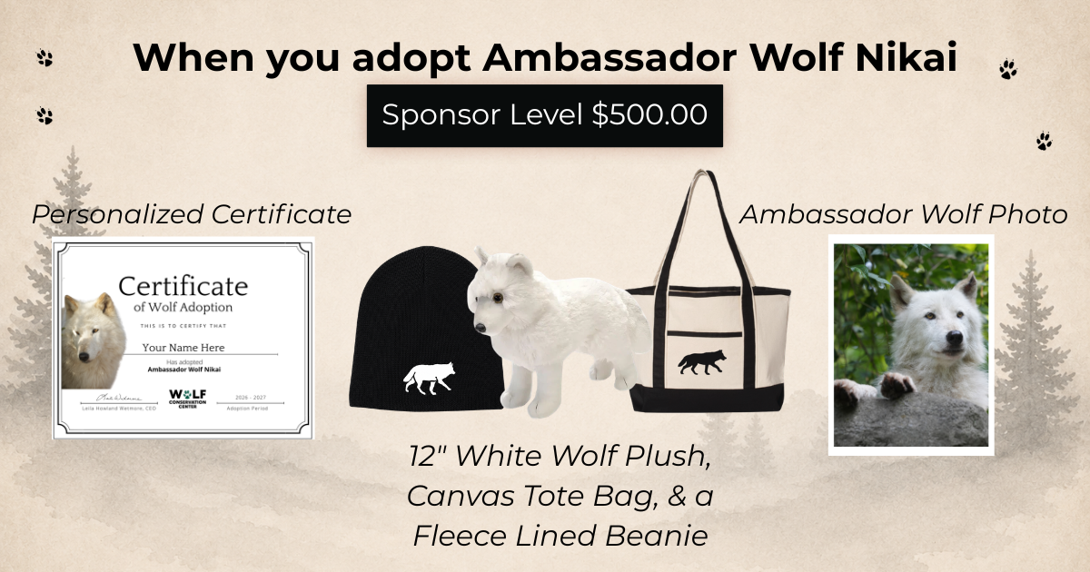 Ambassador Wolf Nikai