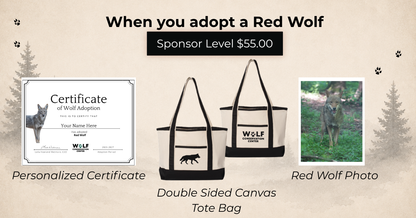 Red Wolf Rusty (m2650)