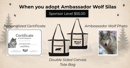 Ambassador Wolf Silas