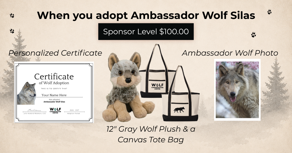 Ambassador Wolf Silas