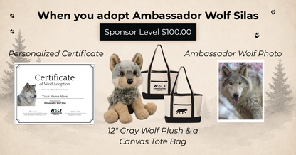 Ambassador Wolf Silas