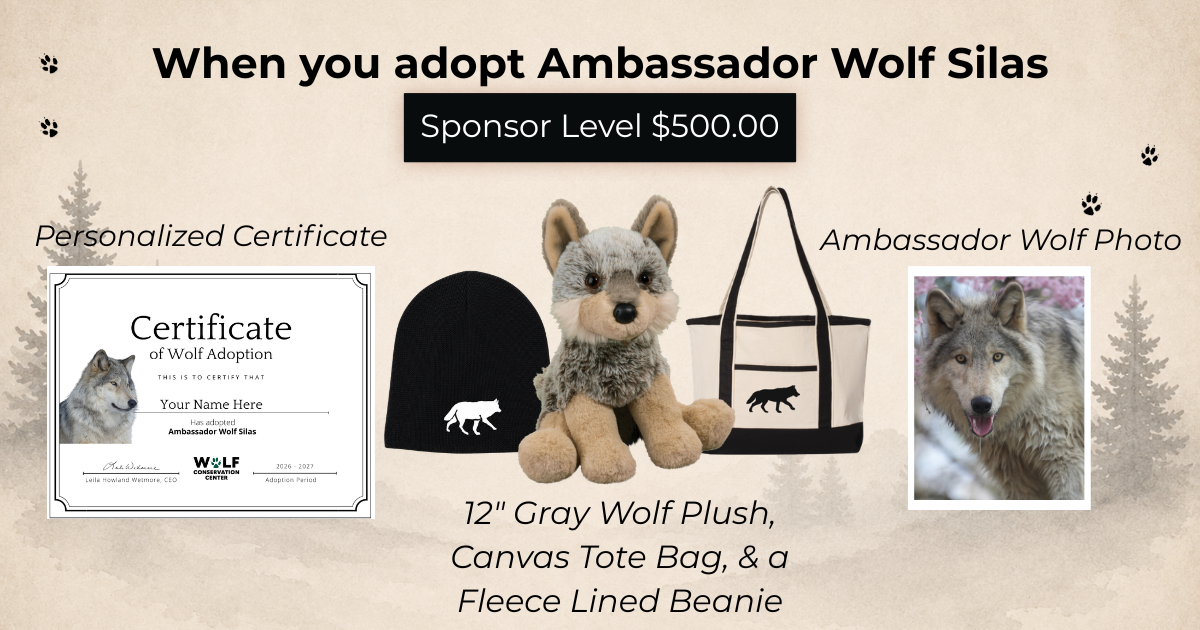 Ambassador Wolf Silas
